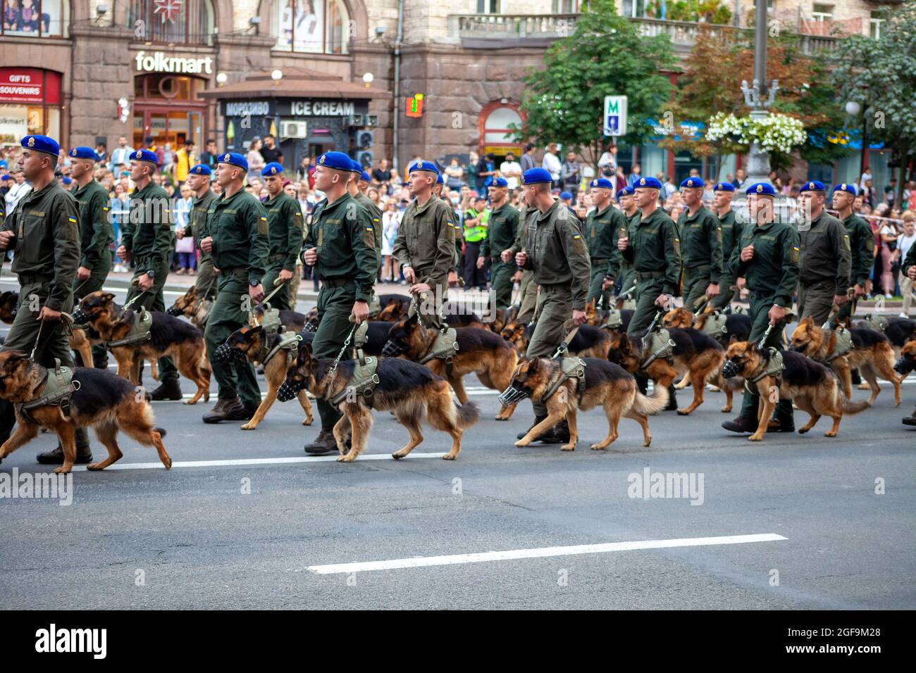 Ukraine, Kiew - 18. August 2021: Zynologen des zynologischen Dienstes. Schäferhunde am Grenzschutz. Ukrainischer militärmarsch in der Stockfoto