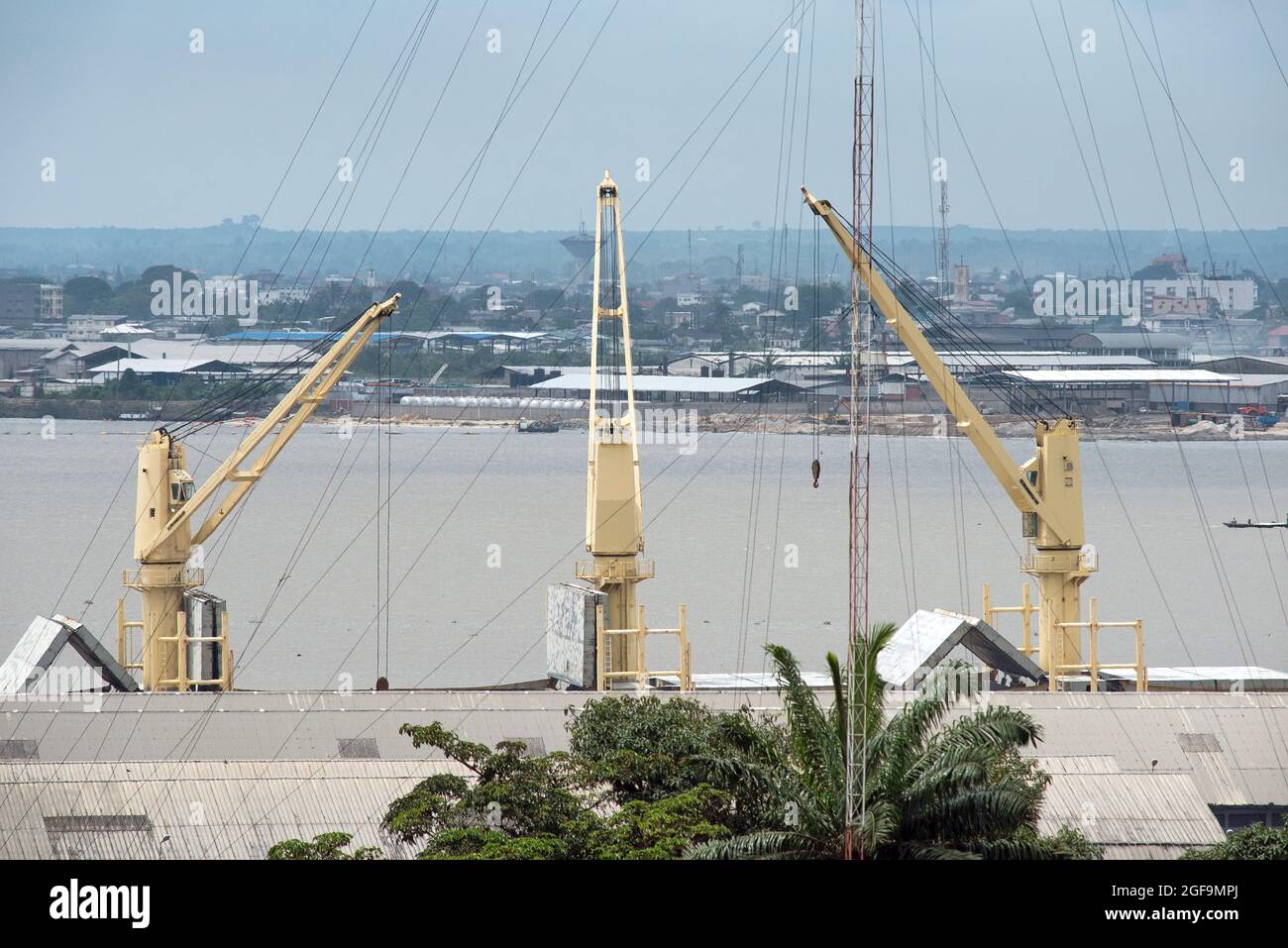Drei Derricks im Hafen von Douala und eine Palme Stockfoto
