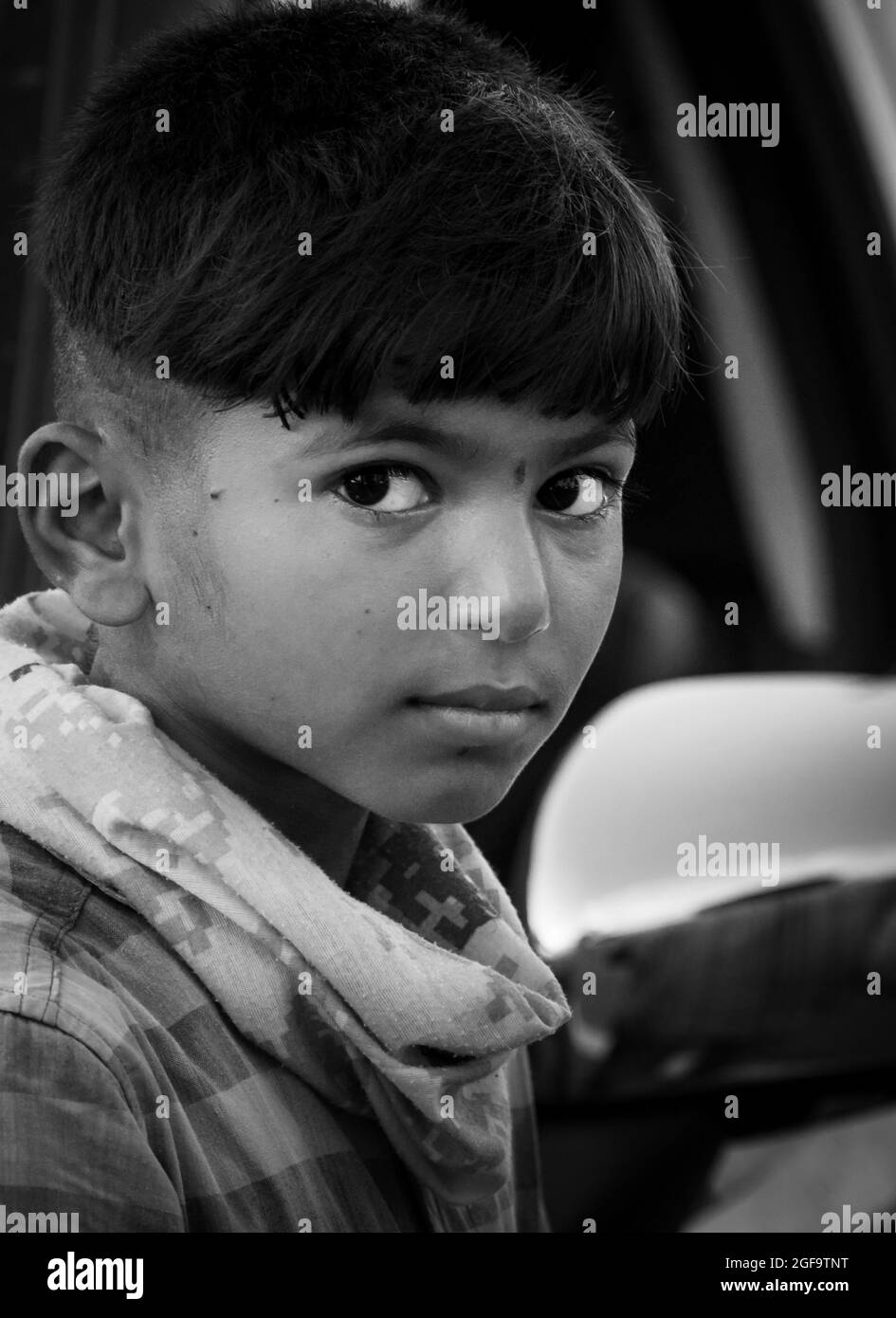 Mir in die Augen schauen Stockfoto