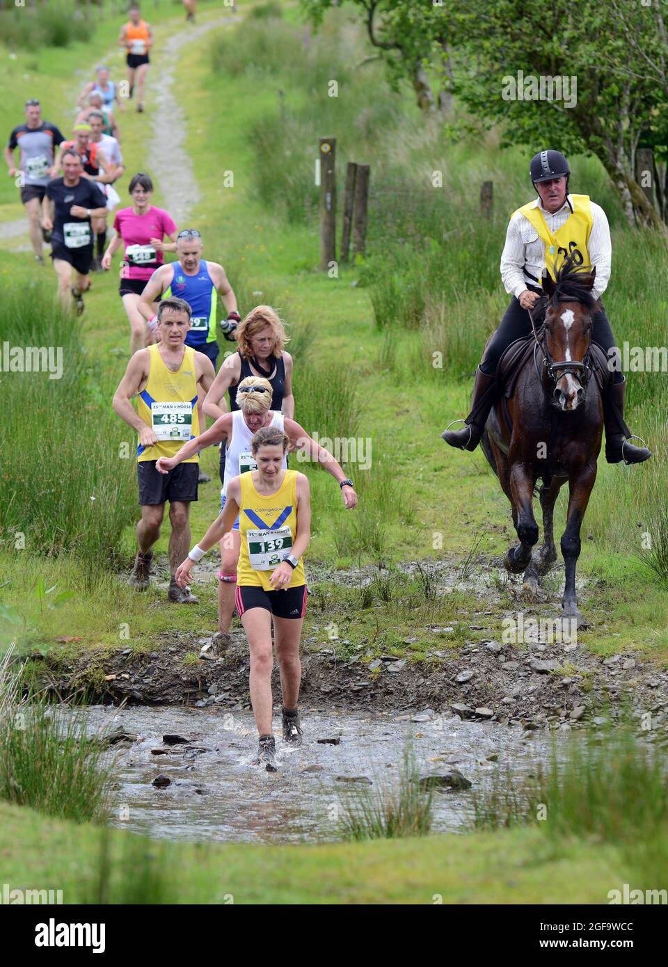 Whole Earth man gegen Horse Endurance Race 2014, Llanwrtyd Wells, Powys. Läufer treten bei einem 22 Meilen langen Cross Country-Event gegen Pferde an. Pic Sam Bagnall Stockfoto