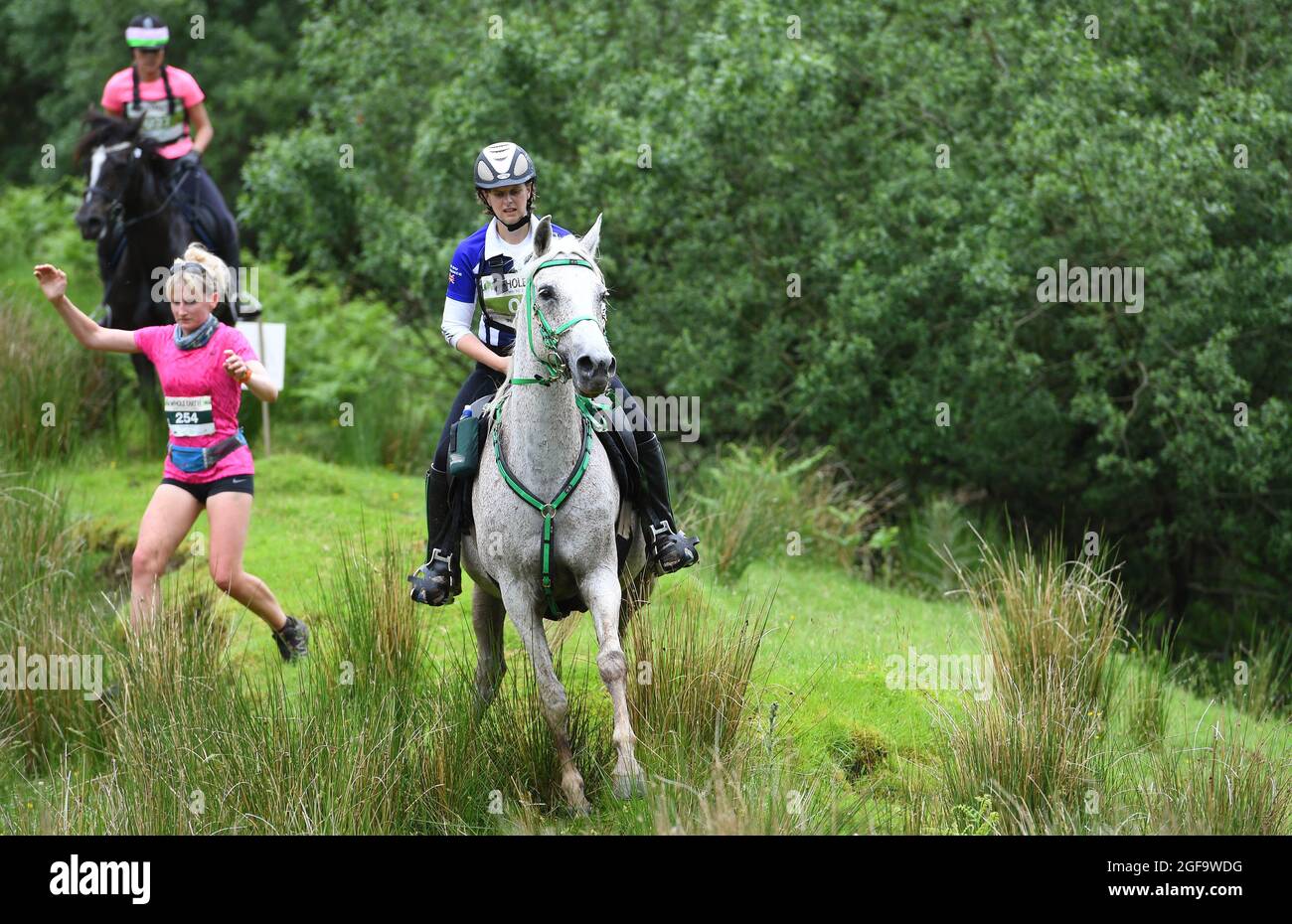 Whole Earth man gegen Horse Endurance Race 2016 Llanwrtyd Wells, Powys. Läufer treten bei einem 22 Meilen langen Cross Country-Event gegen Pferde an. Pic Sam Bagnall Stockfoto