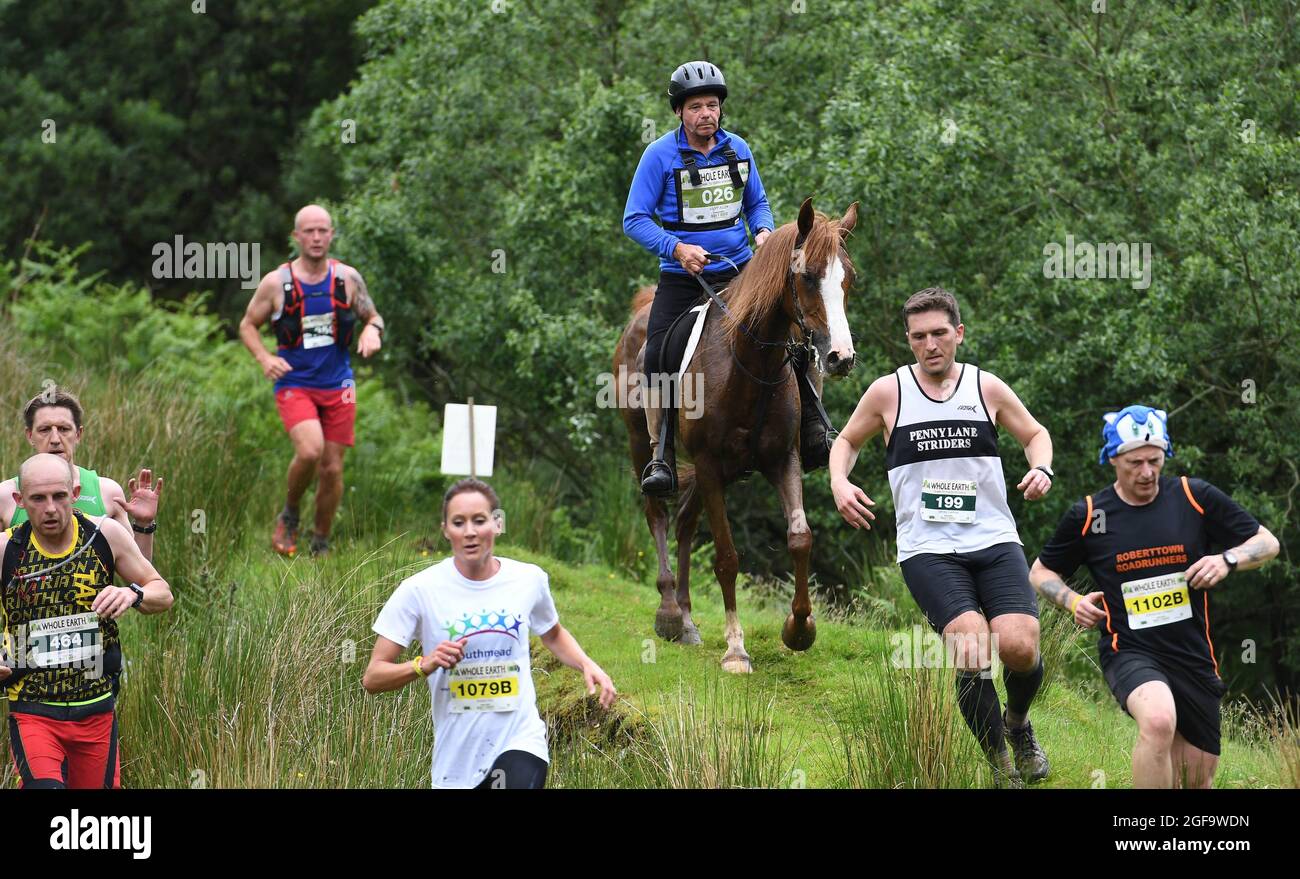 Whole Earth man gegen Horse Endurance Race 2016 Llanwrtyd Wells, Powys. Läufer treten bei einem 22 Meilen langen Cross Country-Event gegen Pferde an. Pic Sam Bagnall Stockfoto