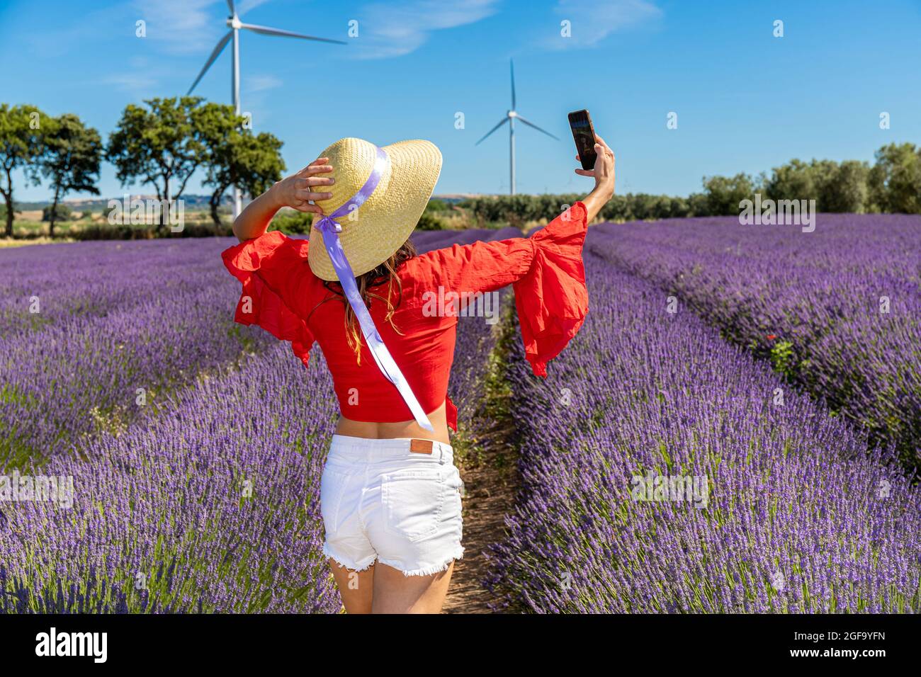 Rückansicht einer Frau mit Strohhut, die ein Selfie in einem Lavendelfeld gemacht hat.Bäume und Windturbinen im Hintergrund. Konzept von Glück und Wohlbefinden Stockfoto