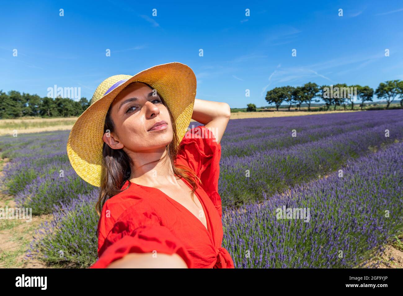 Eine schöne Frau mit Strohhut, die ein Selfie in einem blühenden Lavendelfeld nimmt. Konzept von Glück, Wohlbefinden und Freiheit. Stockfoto