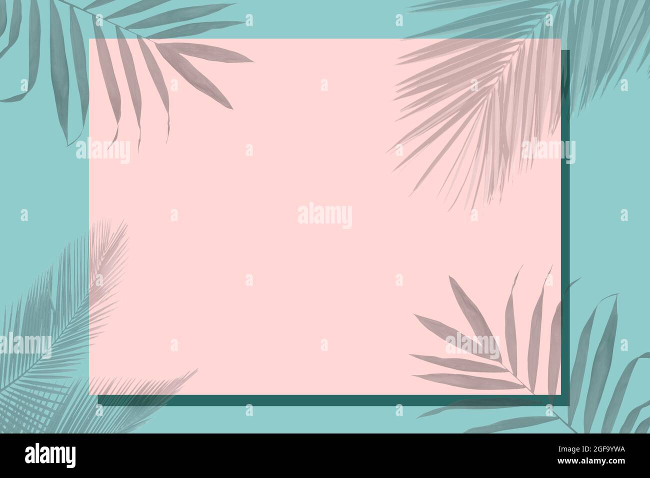 Auf einem grünen Hintergrund ein rosa Rahmen für Text, der mit einem Schatten aus tropischen Blättern bedeckt ist. Stockfoto