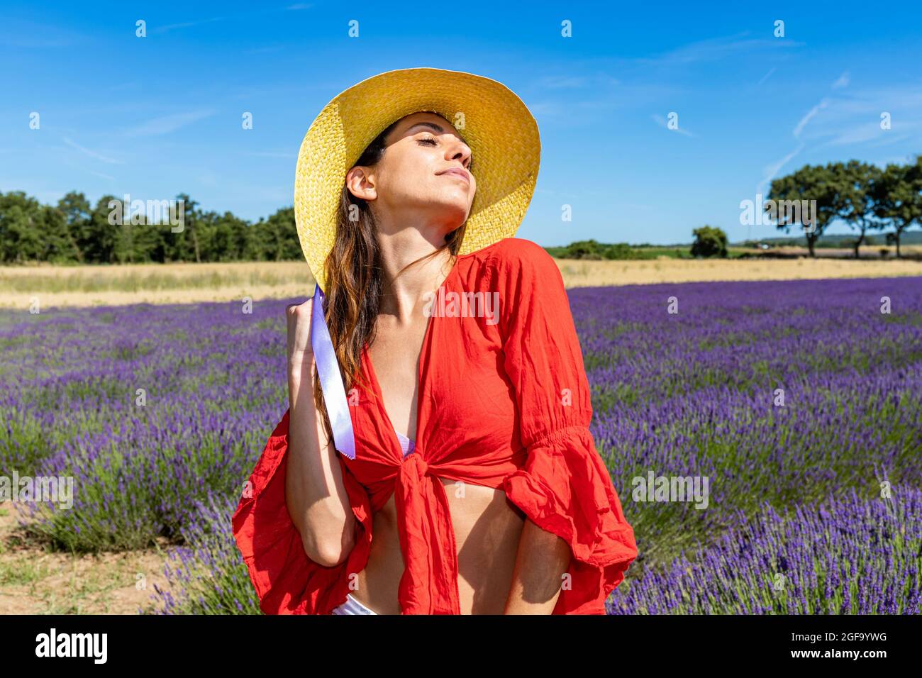 Junge Frau posiert in einem blühenden Lavendelfeld. Sie trägt eine rote Bluse und einen Strohhut. Naturtourismus und Wellness-Konzept. Stockfoto