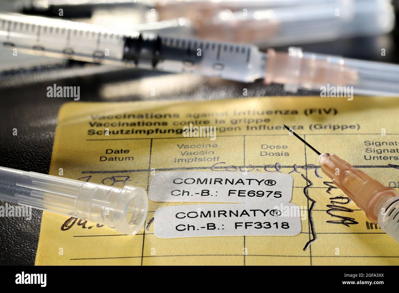 Dokumentation der ersten und zweiten Impfung mit BioNTech/Pfizer COVID-19 Impfstoff Comirnaty in einem internationalen Impfzertifikat. Stockfoto