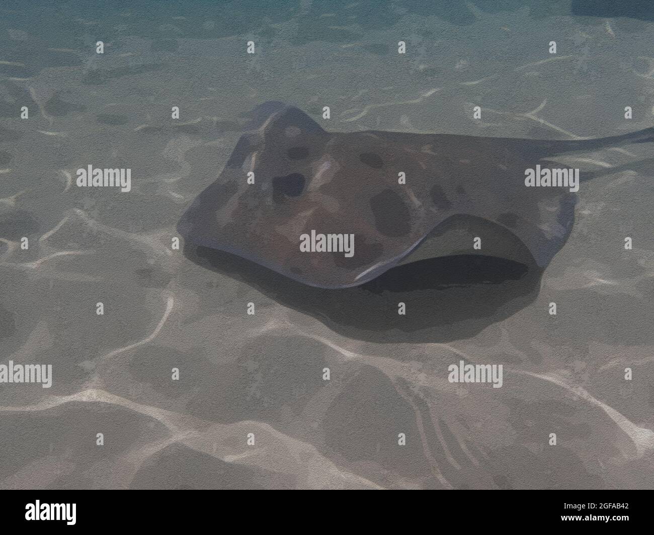 Eine Illustration Eines Stachelrochen Der Uber Sand Im Meer Schwimmt Stockfotografie Alamy