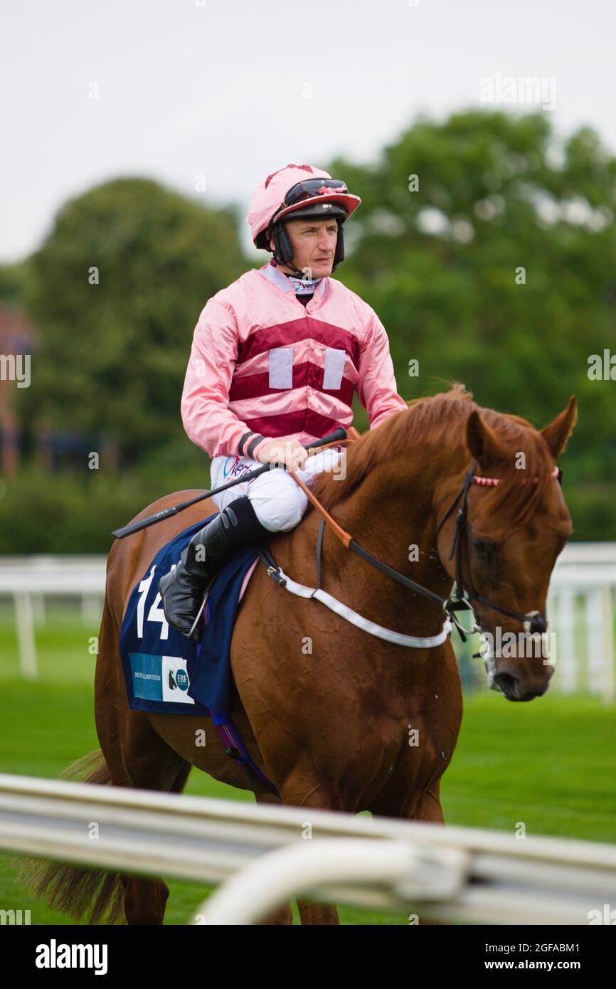 Jockey PJ McDonald vor einem Rennen bei York Races. Stockfoto