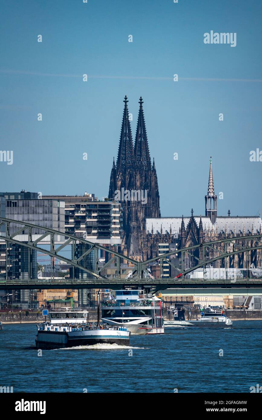 Krangebäude, am Zollhafen, Köln Süd, Wohn- und Bürohochhäuser, Frachtschiffe, Kölner Dom, Eisenbahnbrücke Südbrücke, C Stockfoto