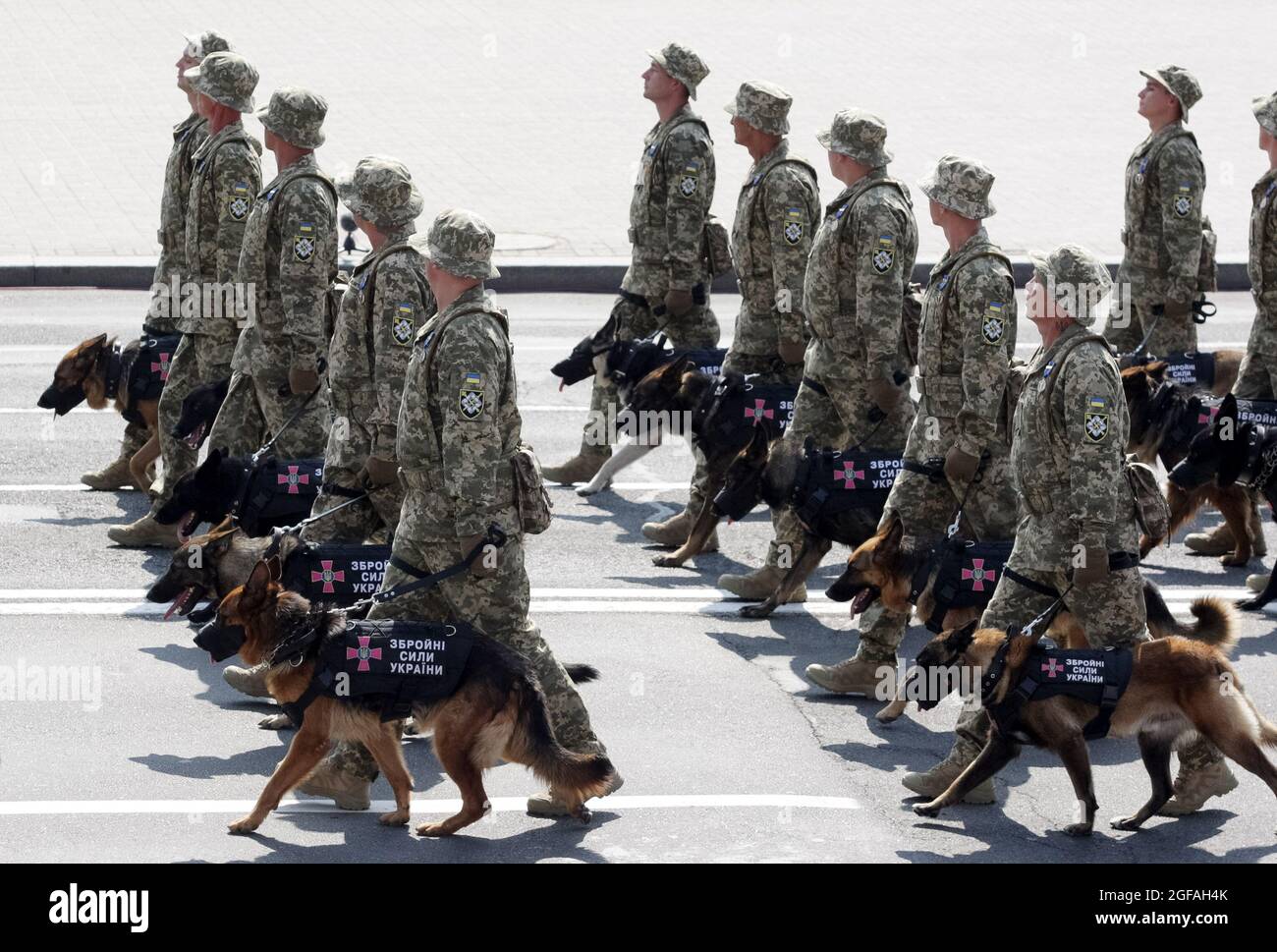 Kiew, Ukraine. August 2021. Soldaten mit ihren Hunden werden während der Militärparade zum Unabhängigkeitstag auf dem Unabhängigkeitsplatz in der Innenstadt von Kiew marschieren sehen. Kredit: SOPA Images Limited/Alamy Live Nachrichten Stockfoto