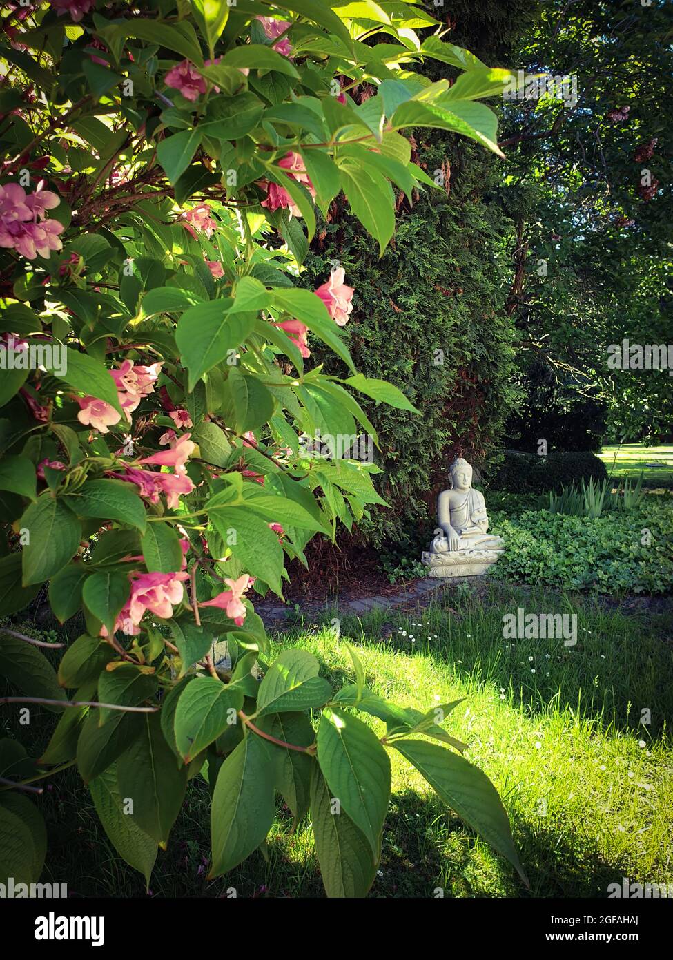 Buddha im Garten Stockfoto