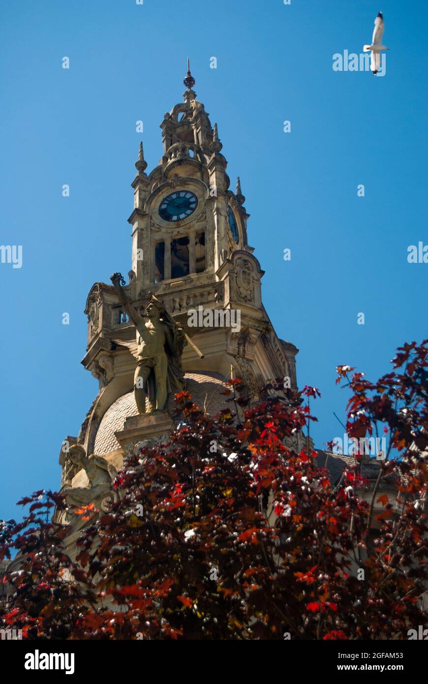 Liberdade Square Skulptur Details des Gebäudes, Statuen und eine Uhr, eine Möwe am Himmel - Vertical, Porto, Portugal Stockfoto