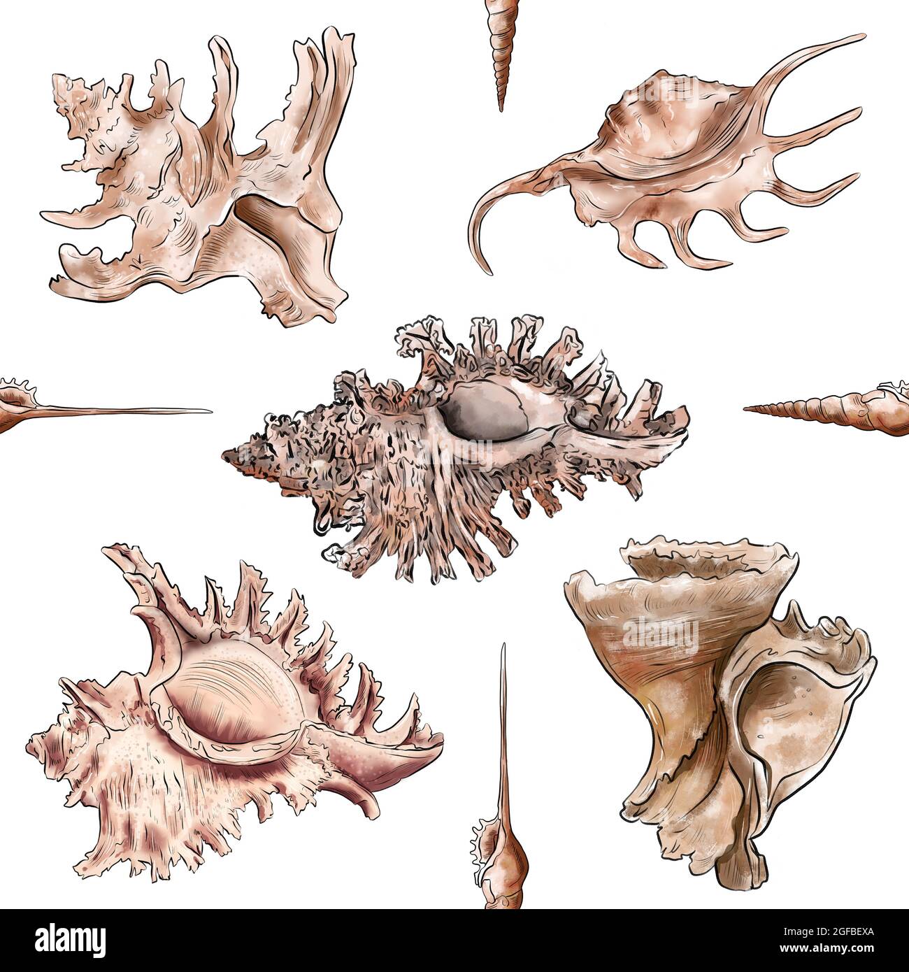 Aquarell digitale Illustration Nahtloses Muster von Muscheln aus braunem Meeresleben auf dem Hintergrund. Hochwertige Illustration Stockfoto