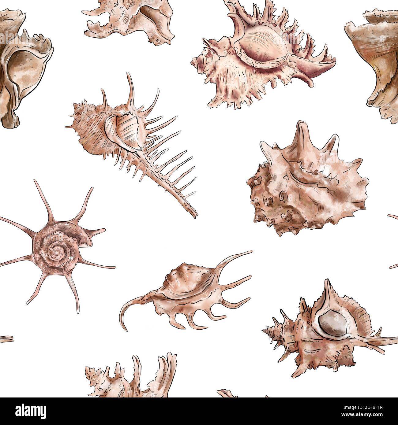 Aquarell digitale Illustration Nahtloses Muster von Muscheln aus braunem Meeresleben auf dem Hintergrund. Hochwertige Illustration Stockfoto