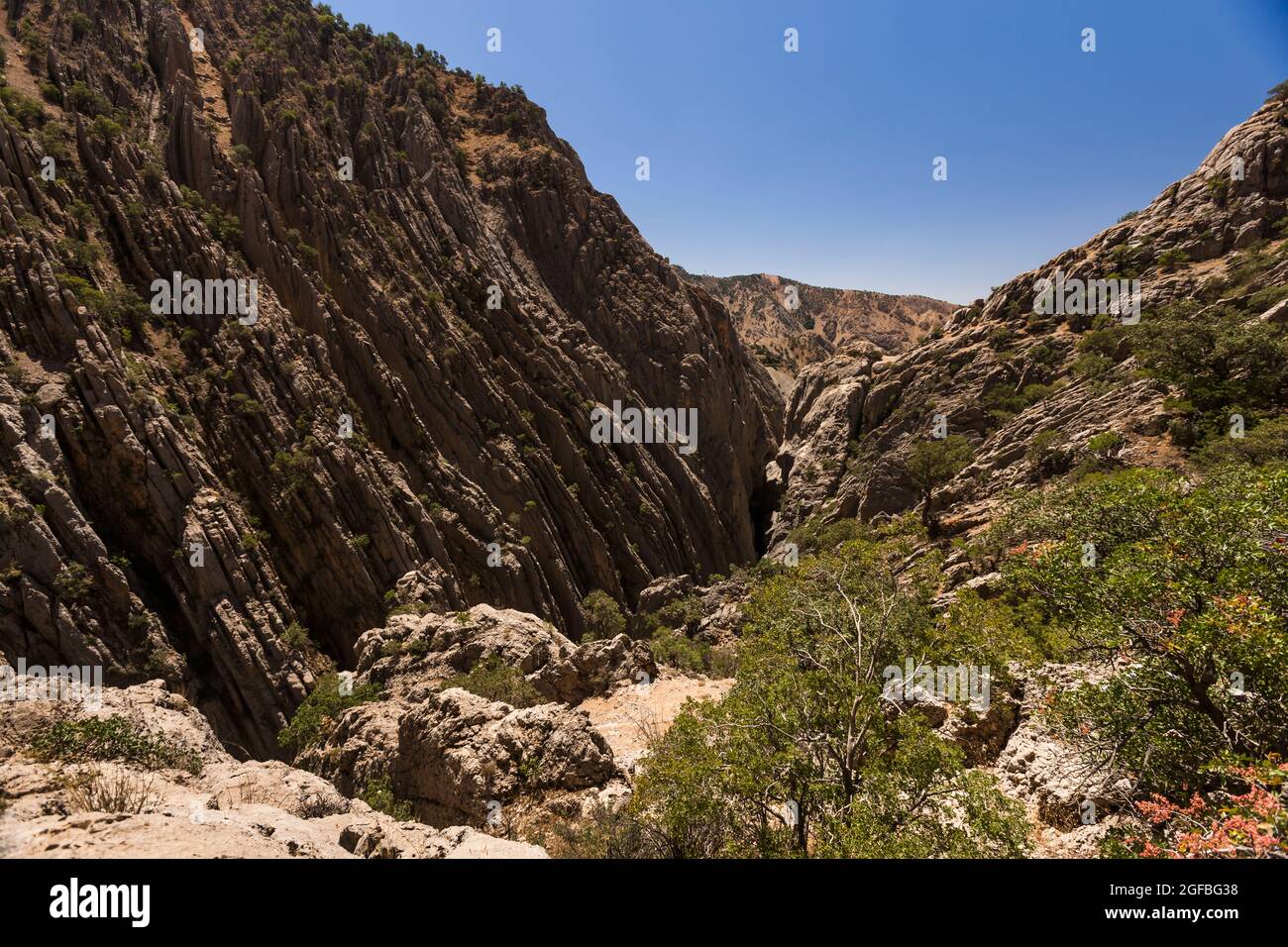 Tal des Zagros-Gebirges, um das vermeintliche Schlachtfeld des „Persischen Tores“, Alexander des Großen, Vorort Yasuj, Iran, Persien, Westasien, Asien Stockfoto