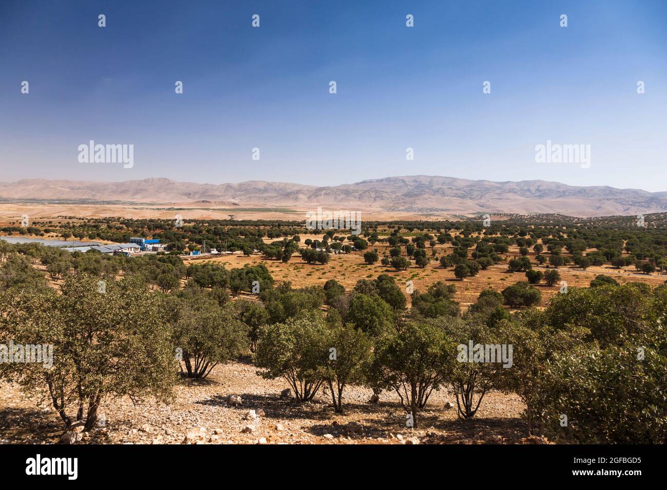 Landwirtschaftliches Feld und Dorf auf Hochland, Persian Royal Road, Alexander der große, in der Nähe von Dalin, Fars Provinz, Iran, Persien, Westasien, Asien Stockfoto