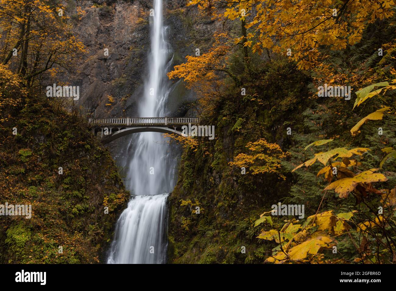 Herbstsaison und Herbstlaub am Wasserfall Multnomah Falls, Columbia River Gorge, Oregon, Pacific Northwest USA Stockfoto