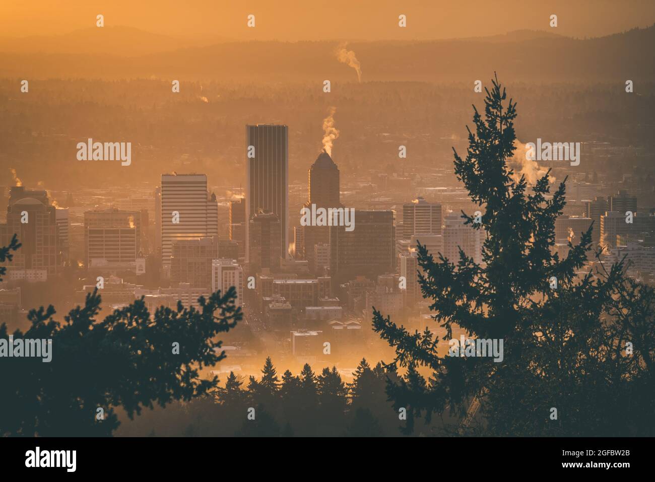 Die Stadt Portland Oregon während des frühen Morgens nebligen goldenen Sonnenaufgangs Stockfoto