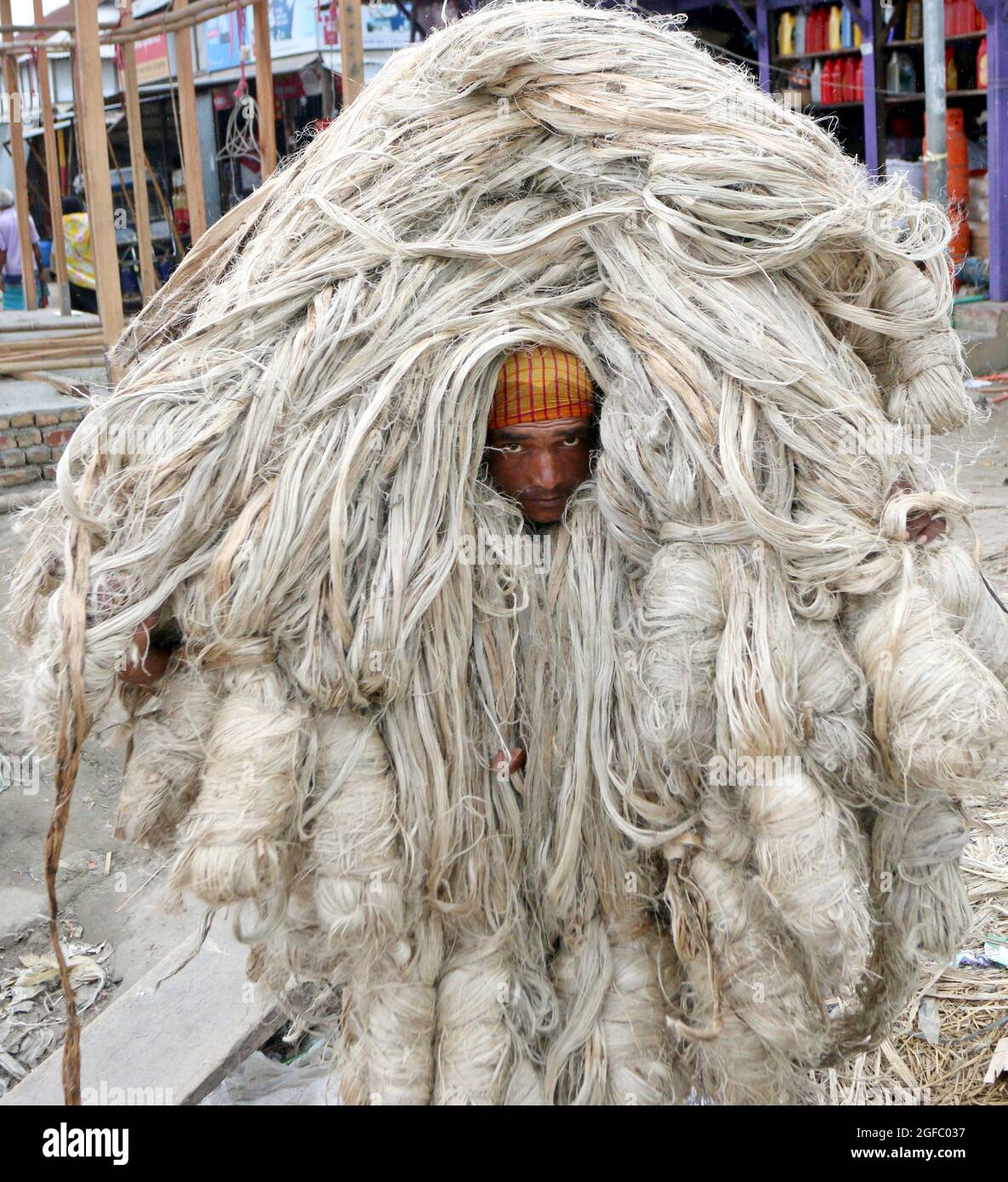 Non Exclusive: DHAKA, BANGLADESCH - AUGUST 24: Ein Landwirt entlädt Bündeln frisch geernteter Jute aus Booten neben einem Großmarkt in Zentral-Bangladesch Stockfoto
