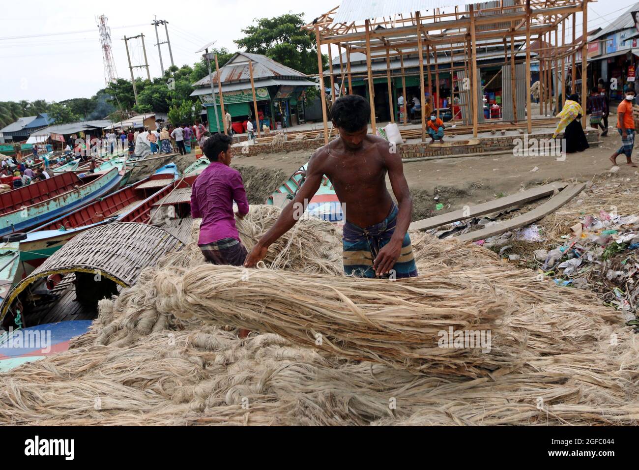 Non Exclusive: DHAKA, BANGLADESCH - AUGUST 24: Ein Landwirt entlädt Bündeln frisch geernteter Jute aus Booten neben einem Großmarkt in Zentral-Bangladesch Stockfoto