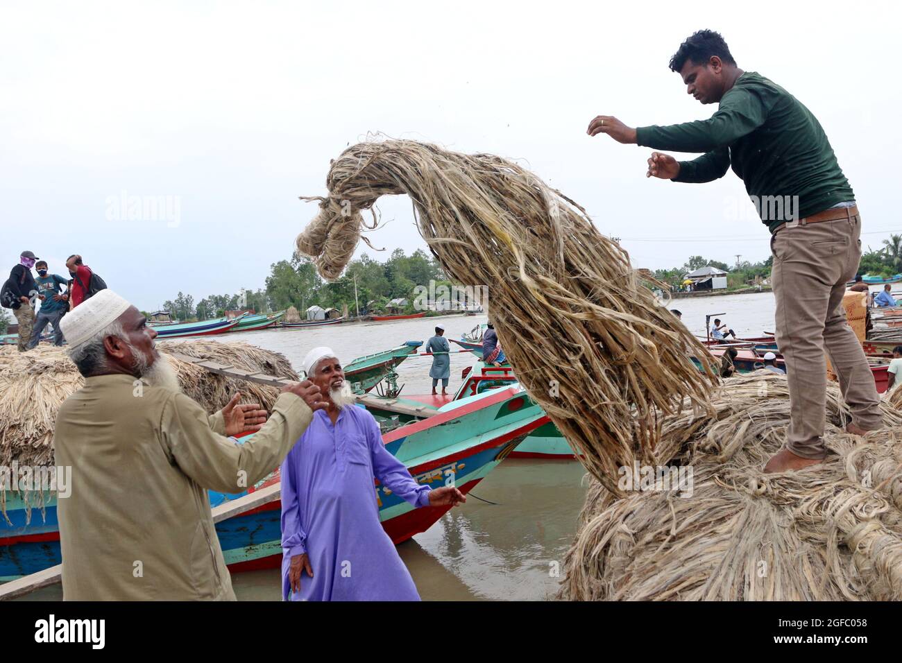 Non Exclusive: DHAKA, BANGLADESCH - AUGUST 24: Ein Landwirt entlädt Bündeln frisch geernteter Jute aus Booten neben einem Großmarkt in Zentral-Bangladesch Stockfoto