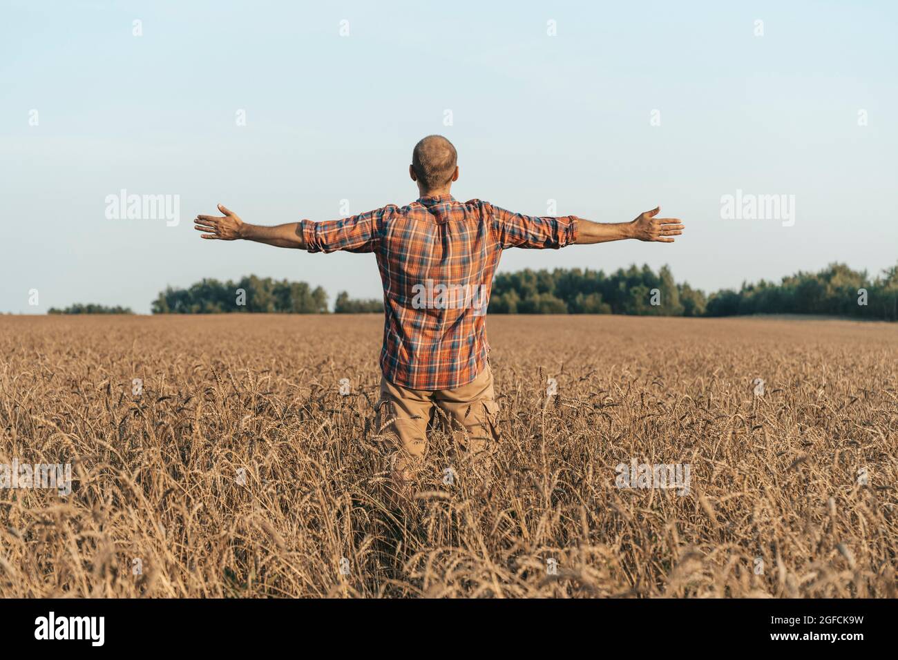 Glücklicher Mann mit ausgestreckten Armen vor dem Hintergrund eines sommerlichen Weizenfeldes bei Sonnenuntergang. Inspiration, Freiheit und Freude Konzept. Hochwertige Fotos Stockfoto