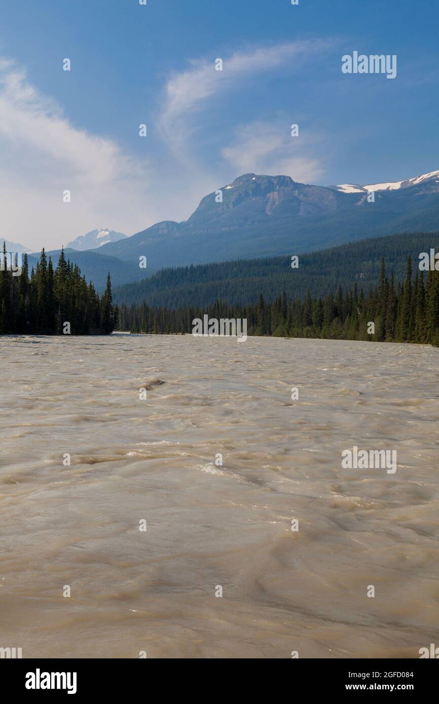 Blick auf den Athabasca-Fluss in der Region des Jasper-Nationalparks in Kanada. Stockfoto