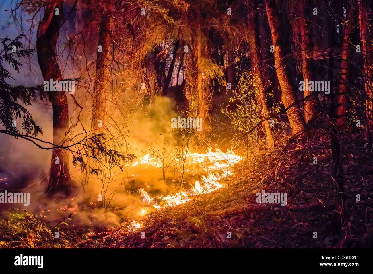 Tahoe Basin, Kalifornien, USA. August 2021. Das Caldor-Feuer wurde auf der Bergseite brennen sehen. Das Caldor-Feuer ist auf über 122,000 Acres angewachsen und droht bis zum Tahoe-Becken zu wachsen. Kredit: SOPA Images Limited/Alamy Live Nachrichten Stockfoto