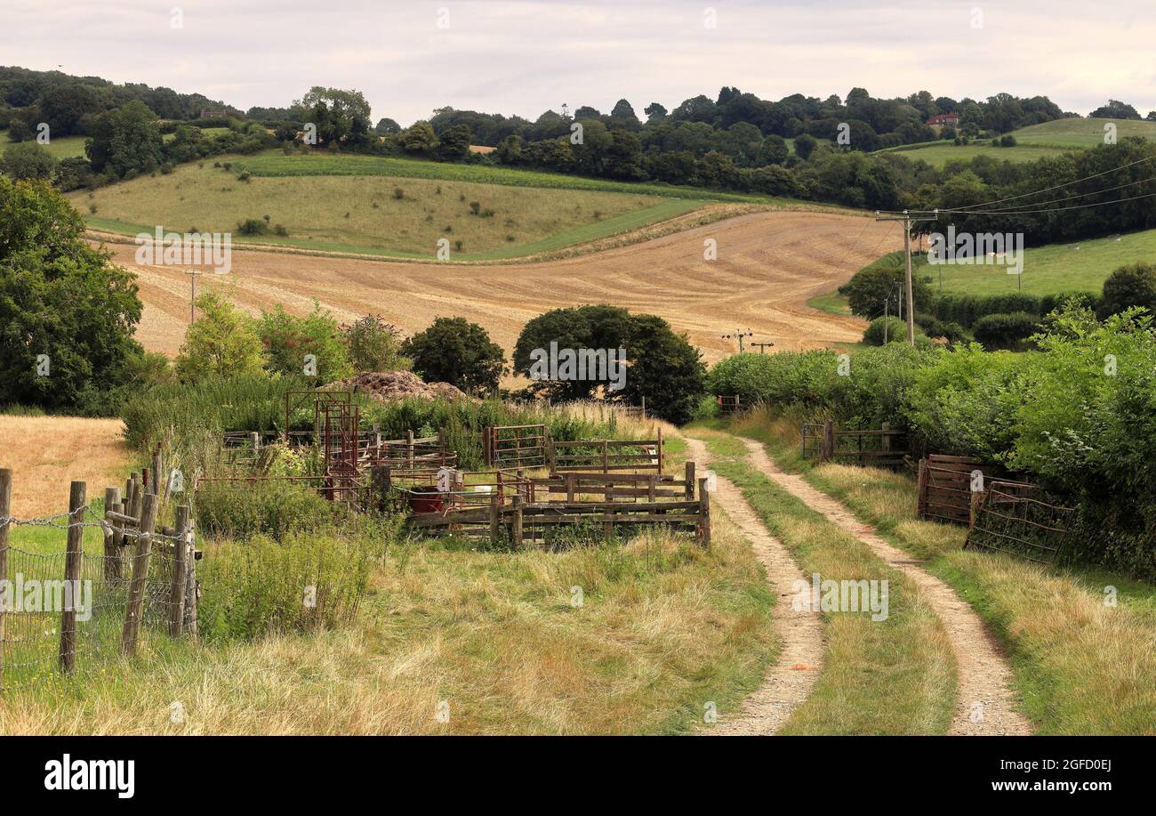 Eine englische ländliche Landschaft in den Chilterner Hügeln mit einem Farmweg, der durch ein Tor führt Stockfoto