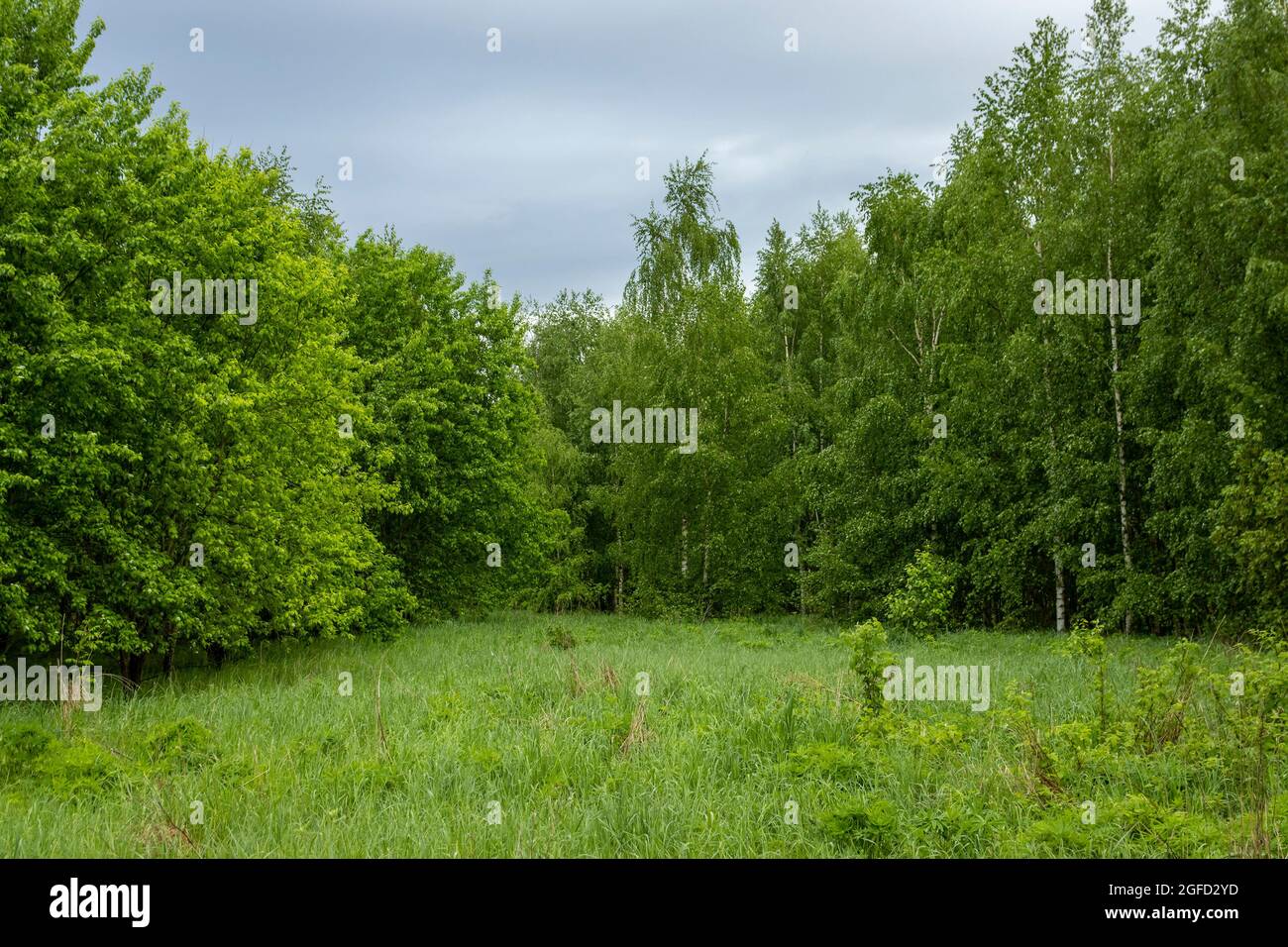 Natürliche Landschaft zur Entspannung und für Ihren Desktop-Hintergrund Stockfoto