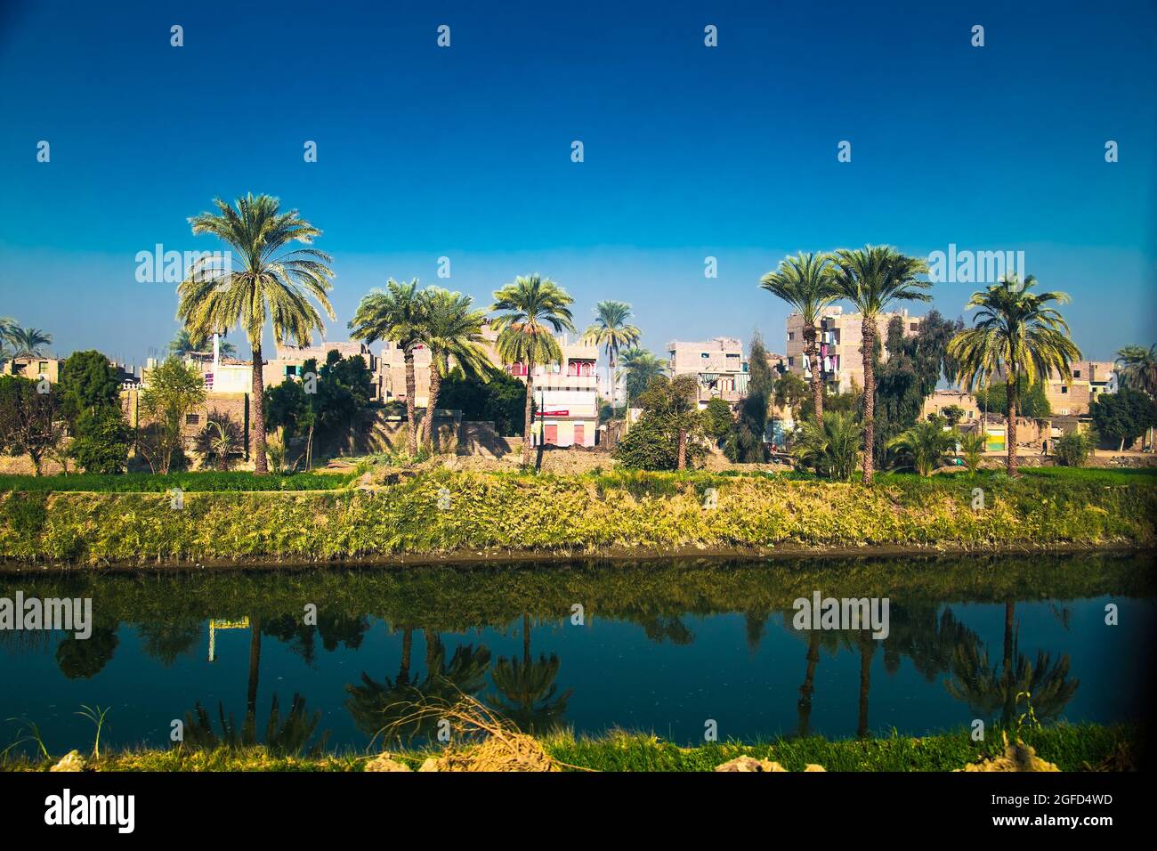 Palmen und Wohngebäude in der Nähe des Bewässerungskanals im Niltal. Ägypten. Stockfoto