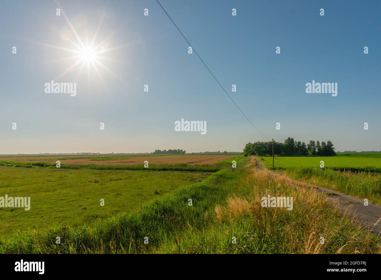 Landschaft der Halbinsel Eiderstedt, weite Marschgebiete, Bauernhäuser, die durch Bäume vor den starken Westwinden geschützt sind, Eiderstedt, Schleswig-Holstein Stockfoto