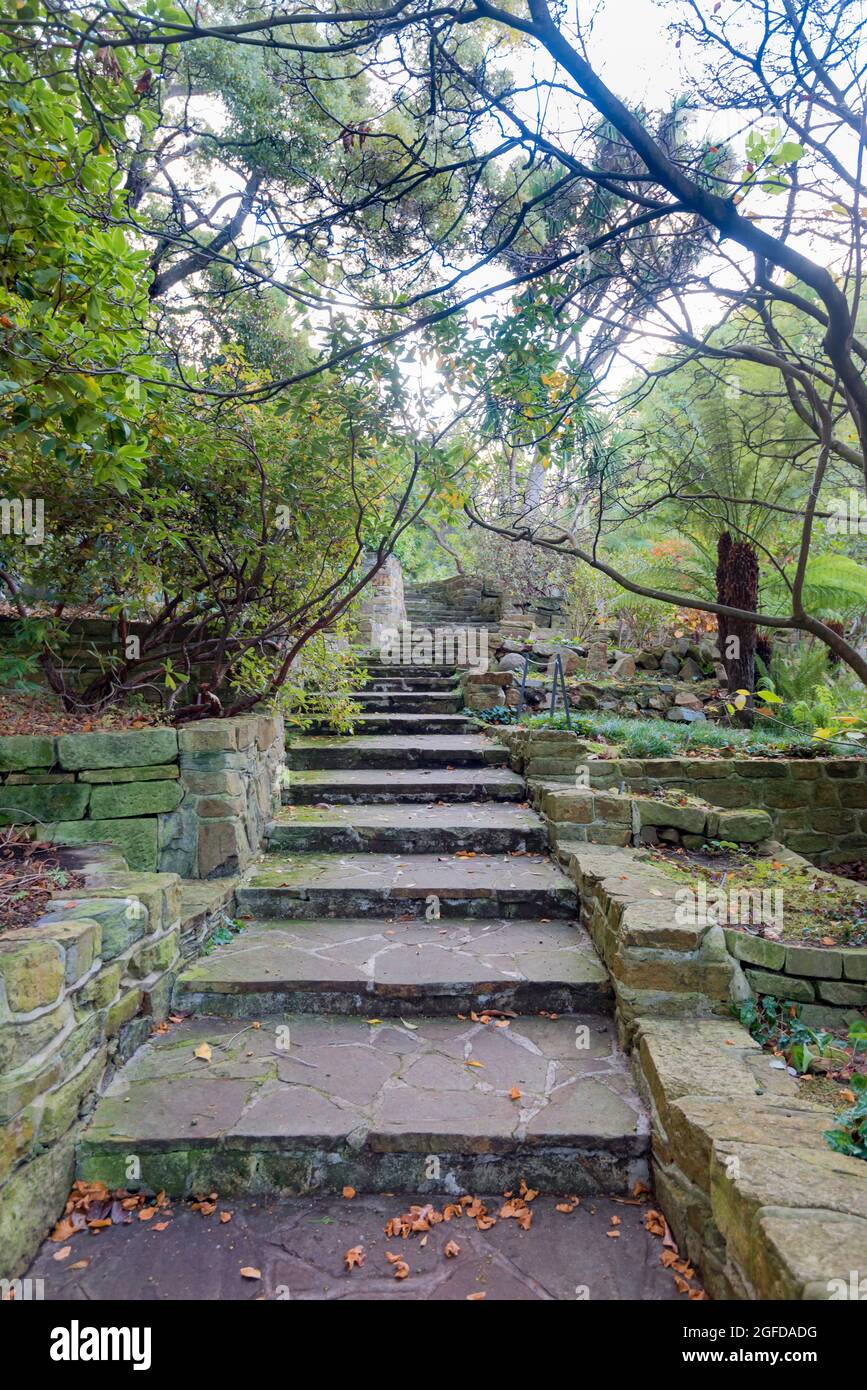 Gepflasterte Steintreppen bilden einen der vielen gewundenen Pfade im Tasmanischen Botanischen Garten in der Queens Domain in Hobart, Tasmanien, Australien Stockfoto