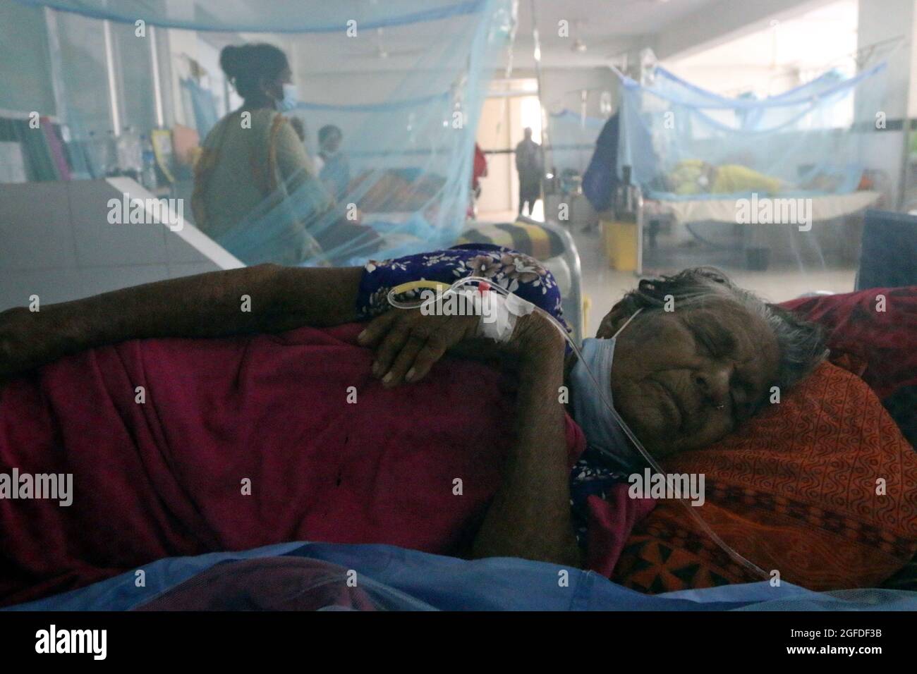 Dhaka, Bangladesch, 25. August 2021: Ein Patient, der mit Dengue-Fieber infiziert ist, wird in einem speziellen Bereich für Patente mit Dengue-Krankheit behandelt, die durch Moskitos im örtlichen Krankenhaus übertragen werden. Die Zahl der Dengue-Patienten steigt in Dhaka und anderswo in Bangladesch weiter an.Laut der Health Services Division wurden in den letzten 24 Stunden mehr als 258 Patienten mit der durch Moskitos übertragenen Krankheit ins Krankenhaus eingeliefert.Quelle: Habibur Rahman / Eyepix Group/Alamy Live News Stockfoto