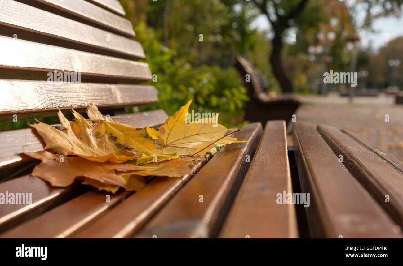 Hintergrund Herbstzeit , Blätter auf der Bank Stockfoto