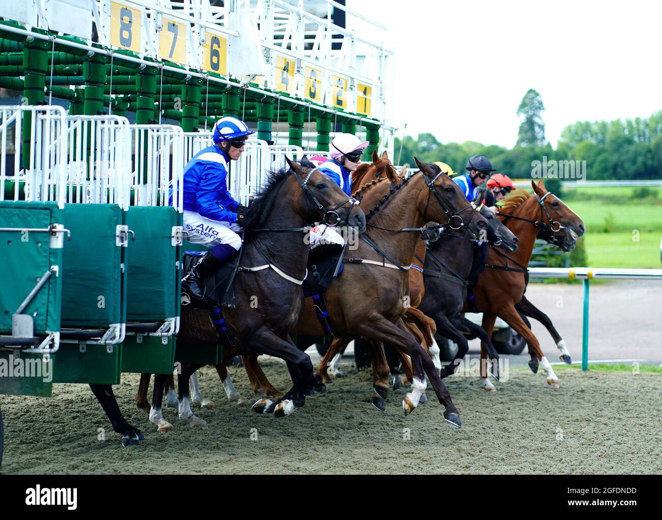 Mumayyyez, geritten von Jockey James Owen (links) am Start des Rossdales Veterinary Surgeons Maiden Stakes Arabian Race auf der Rennbahn Lingfield Park. Bilddatum: Mittwoch, 25. August 2021. Siehe PA Story RACING Lingfield. Bildnachweis sollte lauten: Adam Davy/PA Wire. EINSCHRÄNKUNGEN: Die Nutzung unterliegt Einschränkungen. Nur redaktionelle Verwendung, keine kommerzielle Nutzung ohne vorherige Zustimmung des Rechteinhabers. Stockfoto