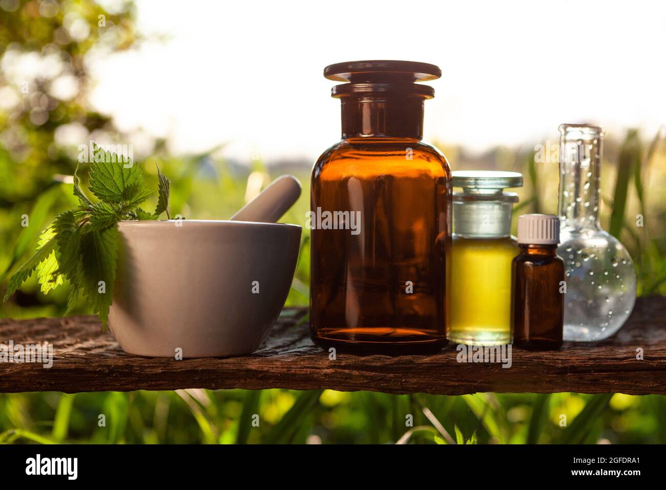 Zusammensetzung der natürlichen Alternativmedizin mit Essenz und Pflanzen. Natürliche Heilmittel und Homöopathie. Stockfoto