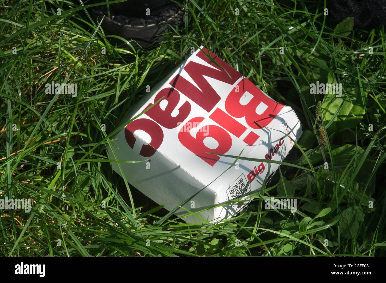 McDonalds Big Mac Box im Gras Stockfoto