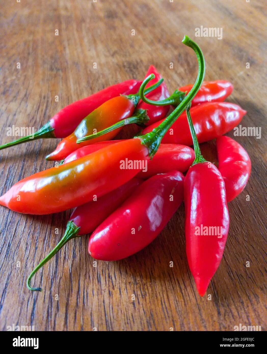 Capsicum baccatum, Pfeffer, der als Chili oder Aji-Pfeffer bekannt ist, auf einem Holztisch Stockfoto