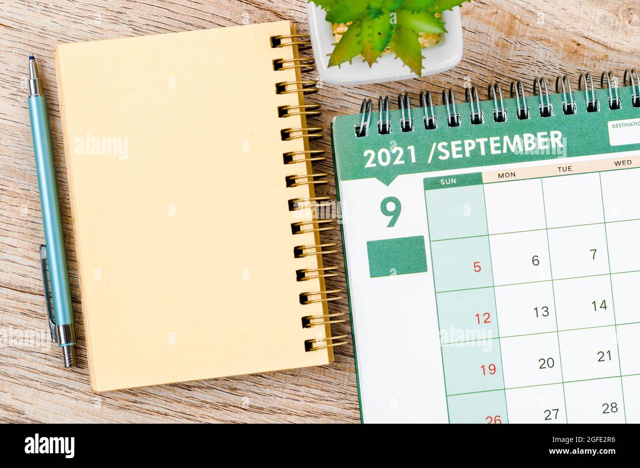 September 2021 Tischkalender und Tagebuch mit kleiner Pflanze auf Holzhintergrund. Stockfoto