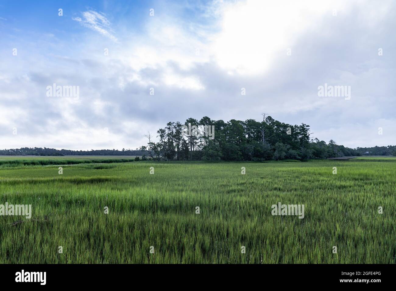 Blick auf eine Insel mit Bäumen in einem grasbewachsenen Salzsumpfgebiet, Mount Pleasant South Carolina, horizontaler Aspekt Stockfoto
