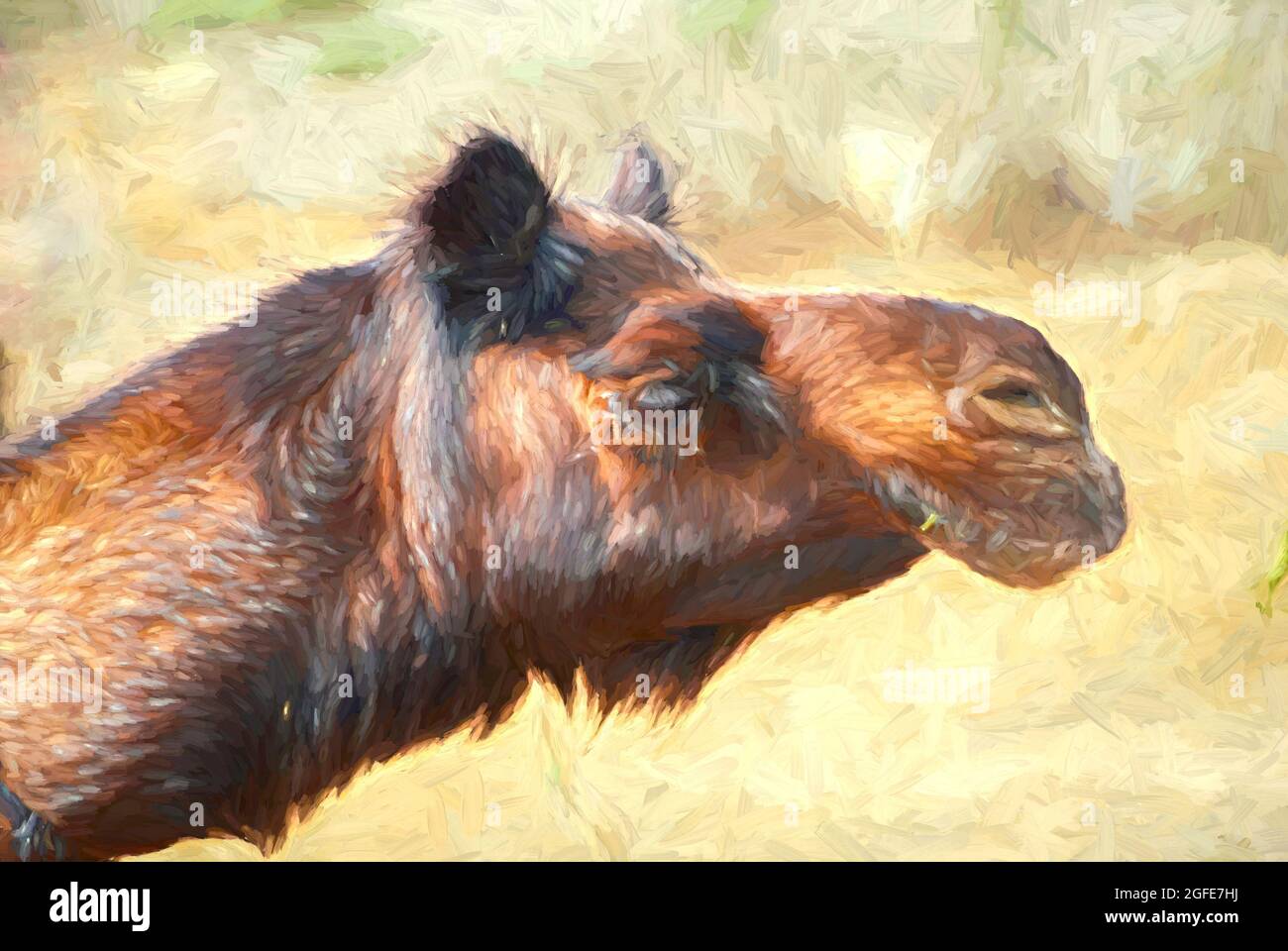 Digitale Malerei eines Kamelporträts. Stockfoto