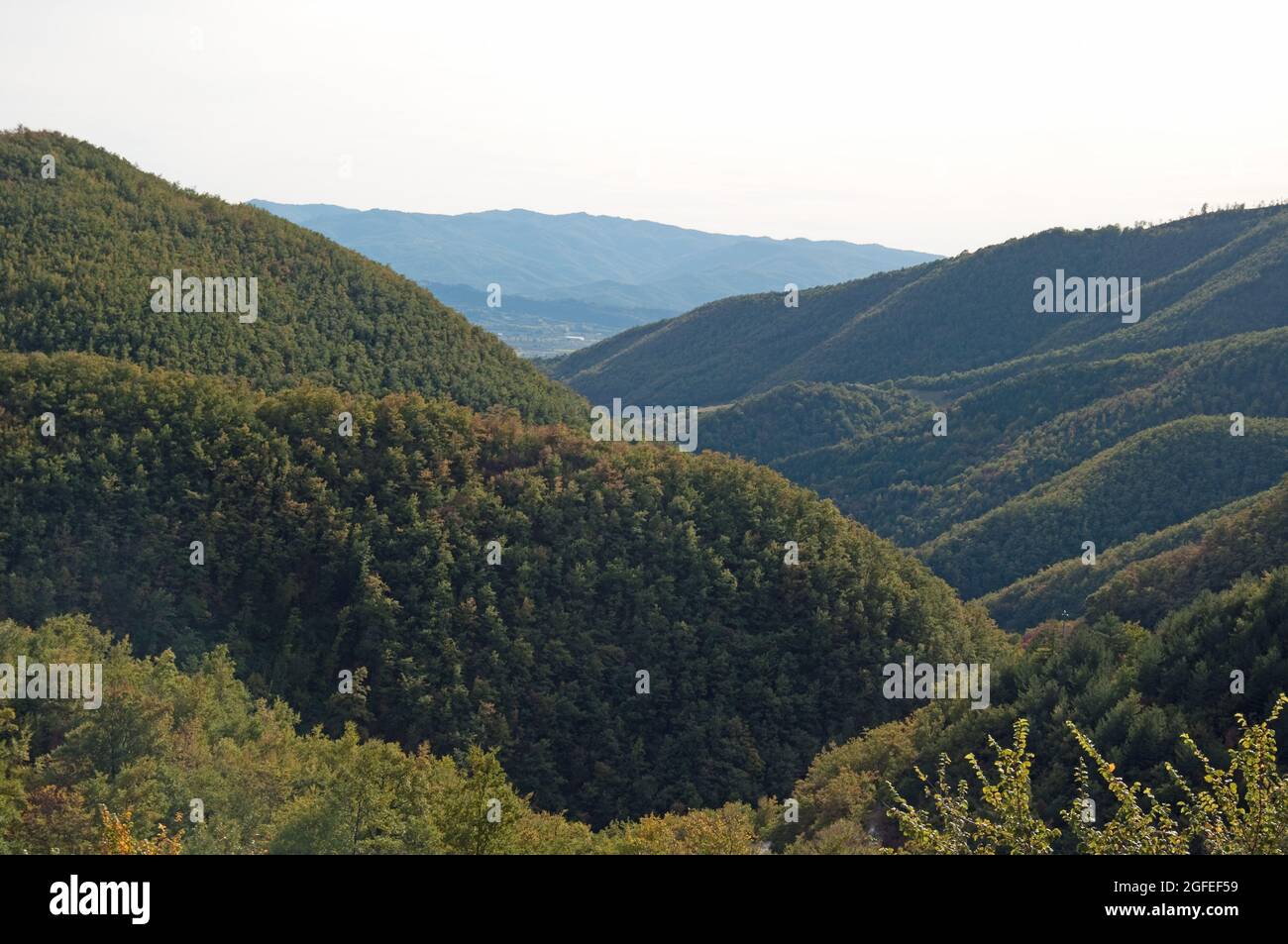 Toskanische Hügel (Blick von montagna), Toskana, Italien Stockfoto
