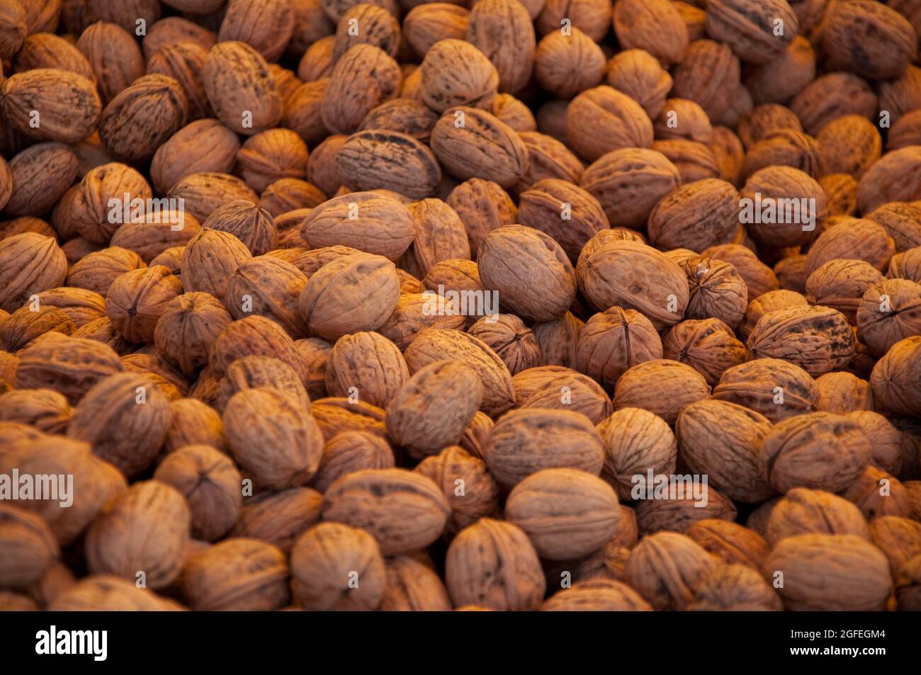 Nussstall, Bauernmarkt, Sansepolcro, Toskana, Italien Stockfoto