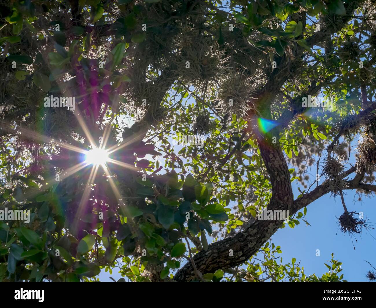 Muleshoe Bend und Privatresidenz, Spicewood, Burnett County, Texas, USA. Gestohlenes Land der Mumunuu, Coahuiltecan, NTE Konitsaaii Gokiyaa, Tokawa, J Stockfoto