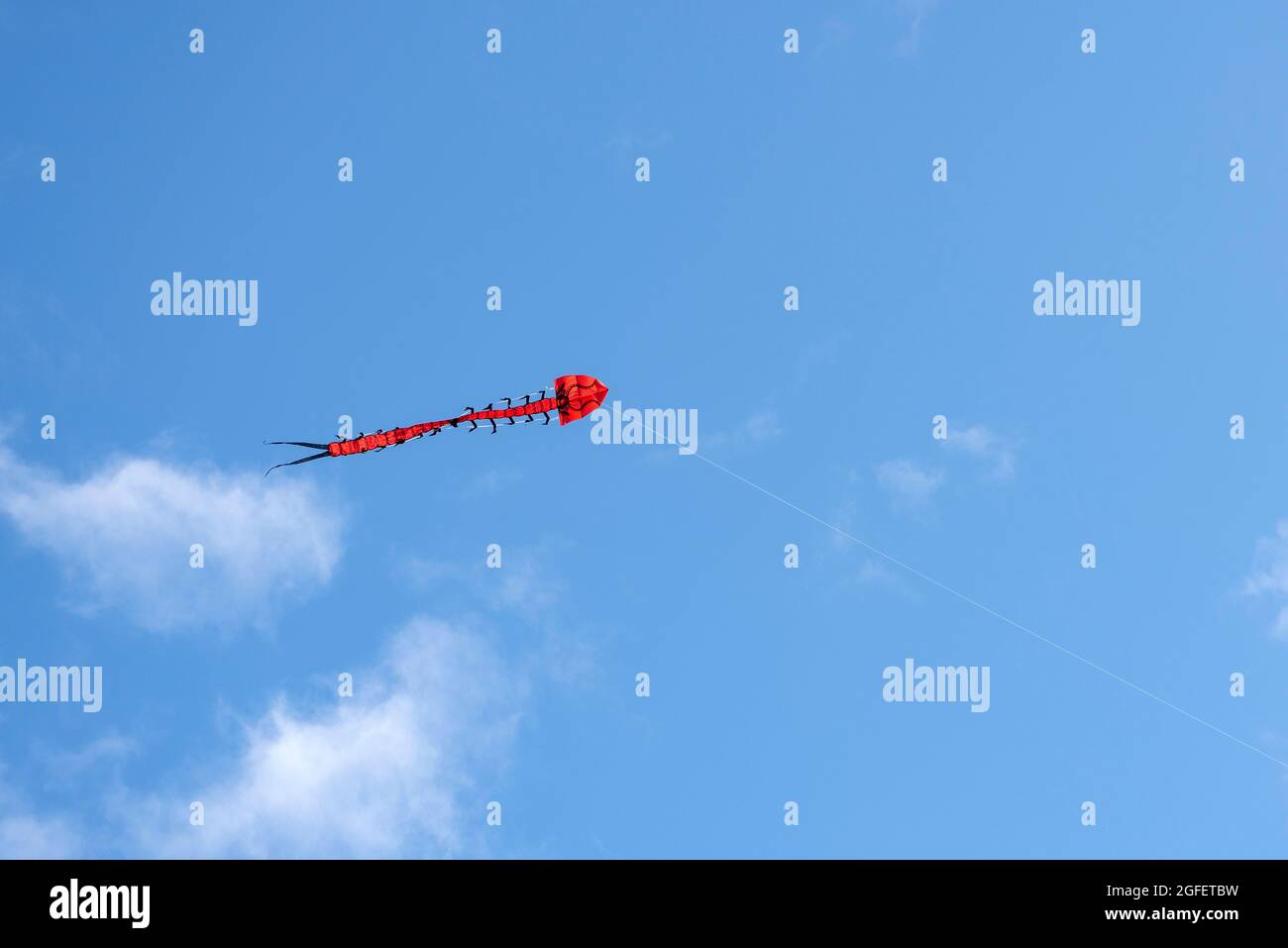 Fliegender Drachen. Farbenfrohe Drachen fliegen im Wind am blauen Himmel zwischen den Wolken. Lange Schlange in Form eines roten Drachen Stockfoto