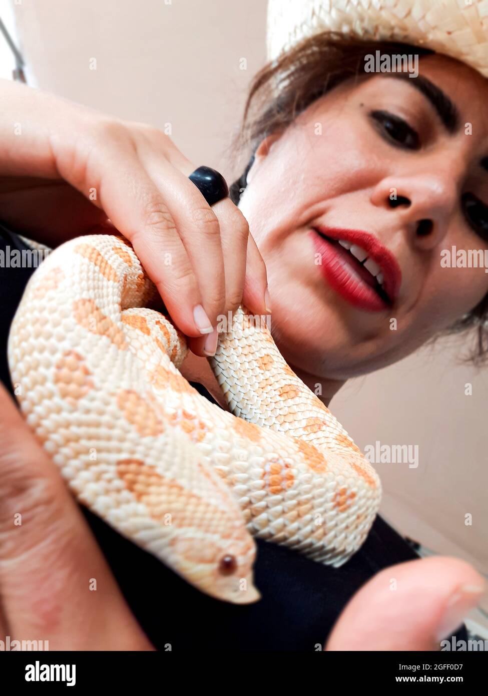 Frau mit einer Albino-Schlange mit Schwein. Vigevano, Italien Stockfoto
