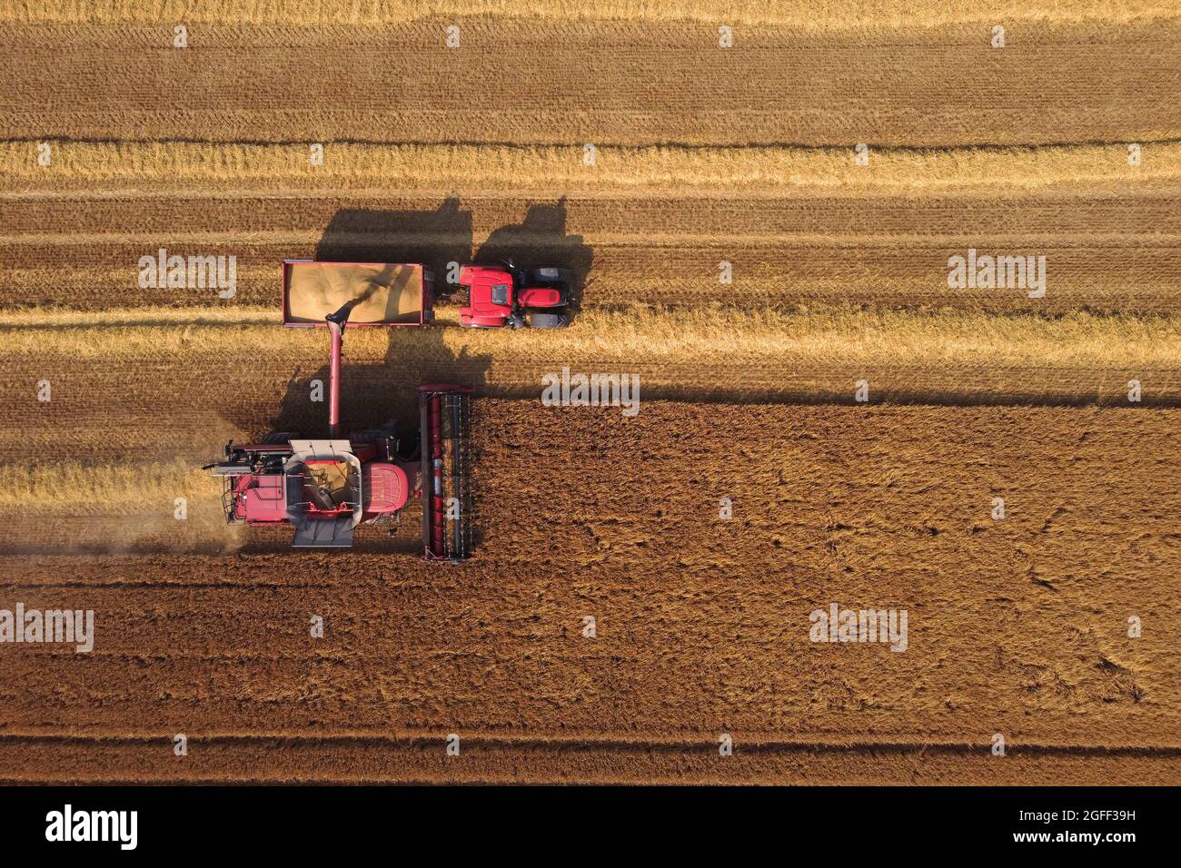 Pavilion Farm, Melrose, Großbritannien. Mittwoch, 25. August 2021. Ein Fall IH Axial-Flow 5140 X-Flow Mähdrescher, Ernte Weizen auf Feldern zwischen Galashiels und Melrose in den schottischen Grenzen, die jüngste Trockenheit des Wetters hat perfekte Bedingungen geschaffen. (Kredit: Rob Gray / Alamy LIVE NEWS) Stockfoto