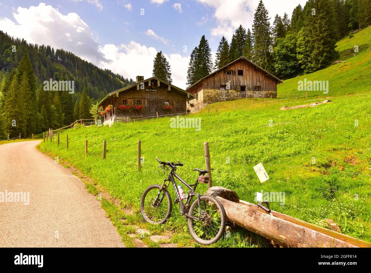 Alm im Lochbachtal bei Oberstdorf, im Oberallgäu, Schwaben, Bayern, Deutschland, Europa Stockfoto